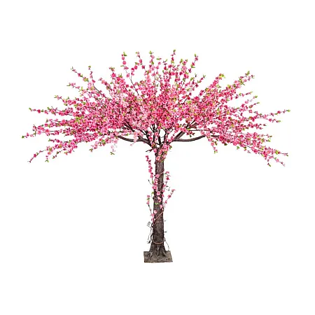 images/uploads/22219/thumb_22017 web.webp